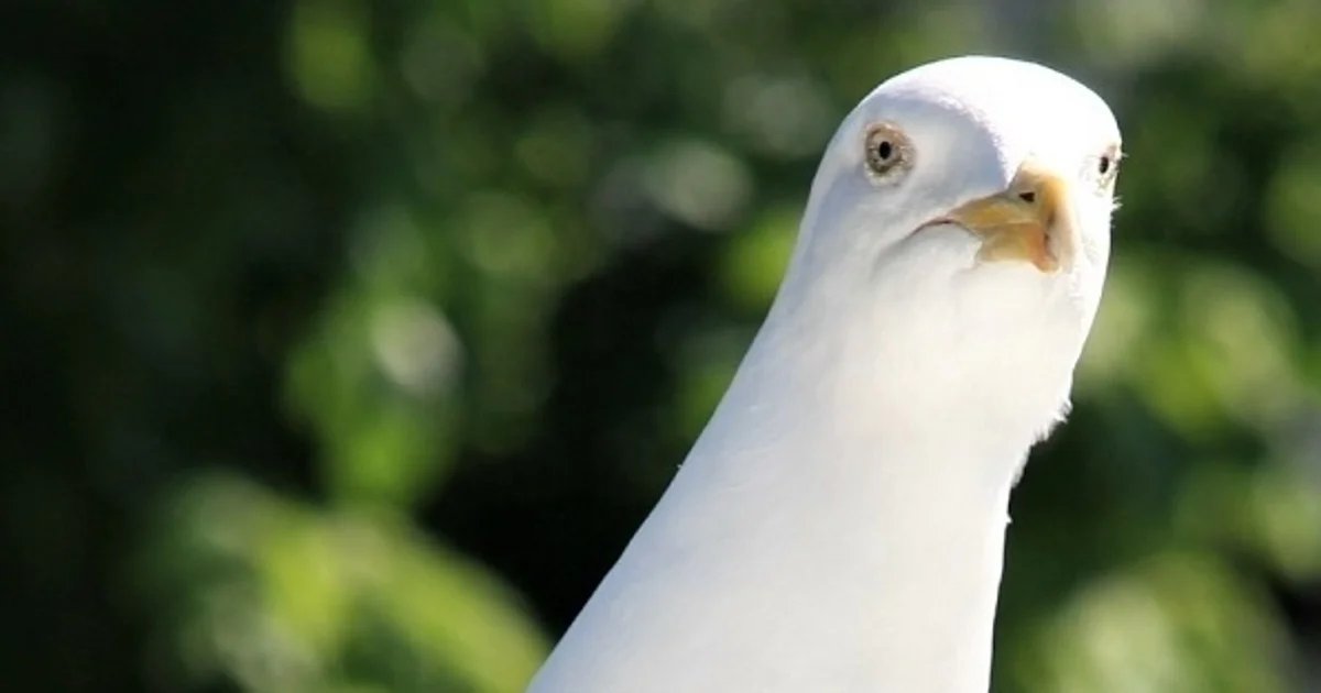 The video games we’ve been playing this week