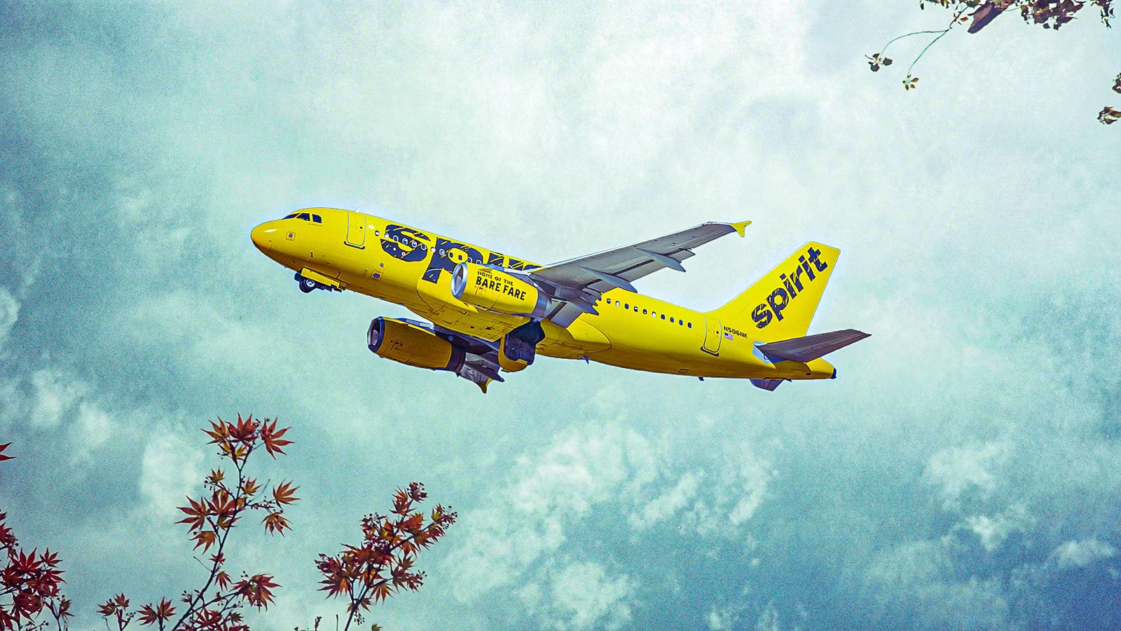 Spirit Airlines Is Rewriting The Rules Of Budget Flying After Bankruptcy