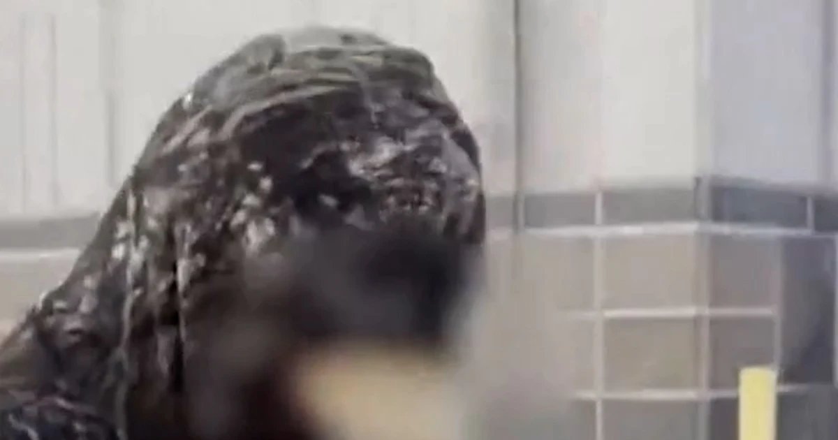 Teen charged with murder in stepsister’s cruise ship death