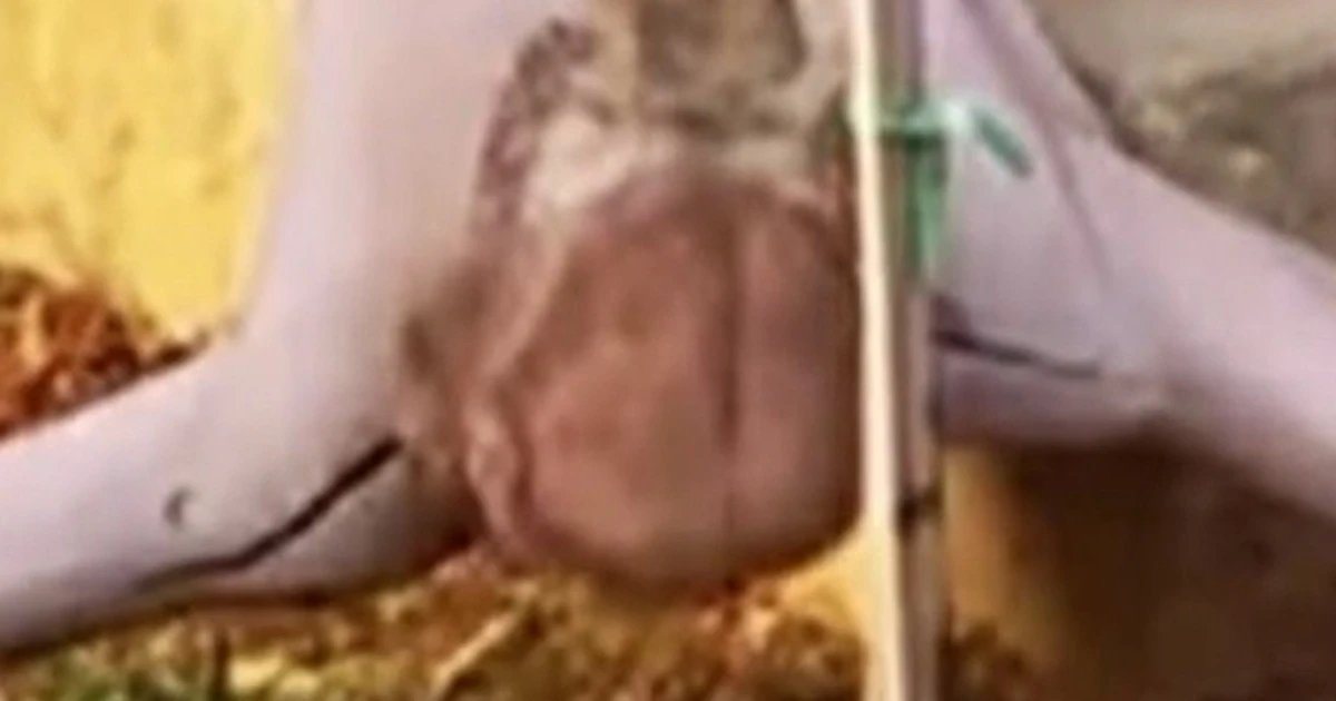 Israeli soldier smashing Jesus statue sparks outrage