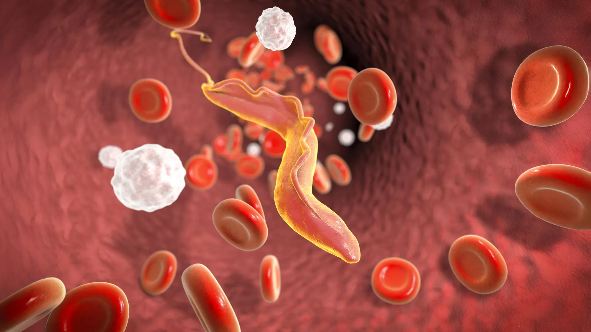 Scientists discover “molecular shredder” that helps deadly parasite evade the immune system