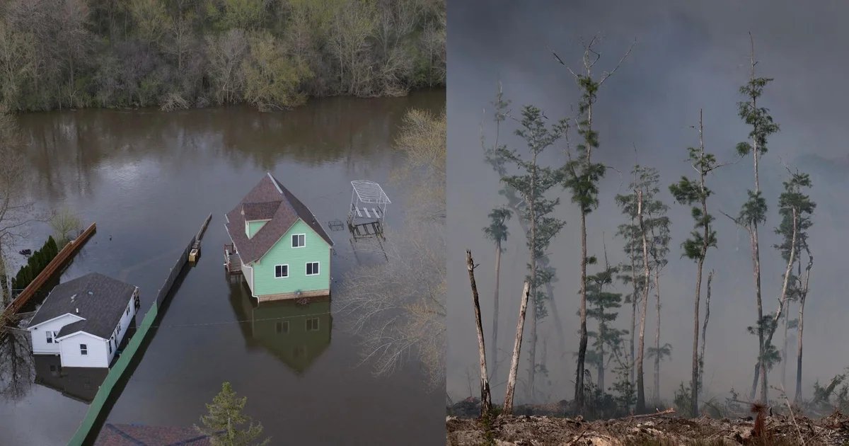 Florida drought fuels wildfires as chunks of ice smash into Michigan homes after major flooding