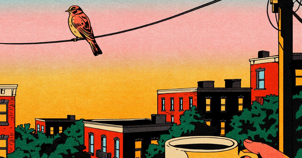 Early Adopter – The New York Times