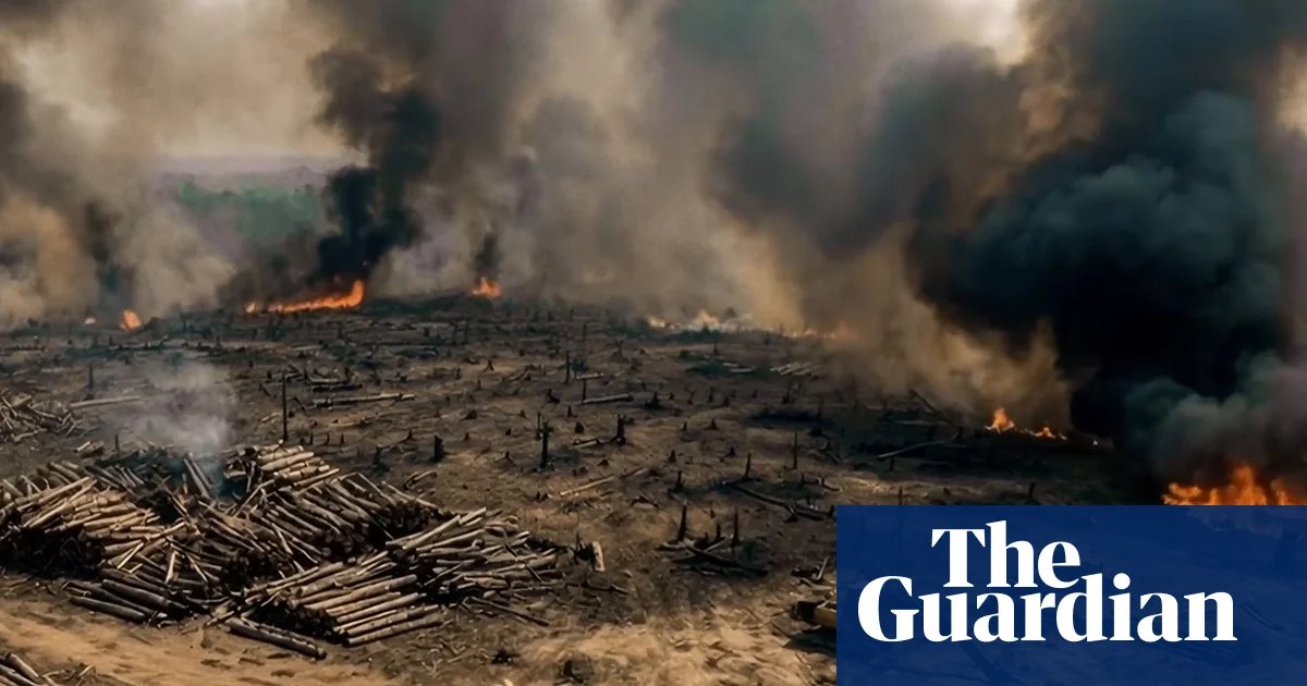 ‘Amazon of America’: film paints vision of a post-coup Brazil giving up rainforest | Brazil