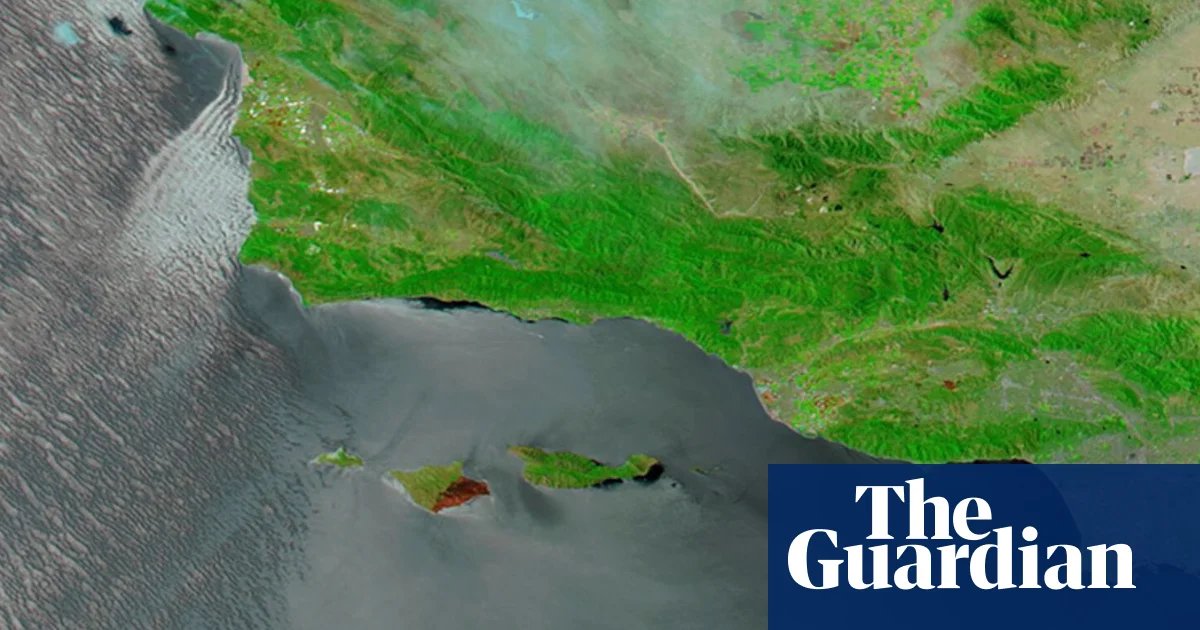 Nasa images show wildfire damage to island dubbed ‘Galapagos of California’ | US news