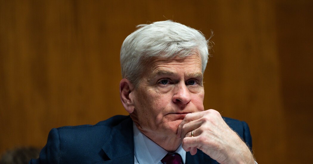 A ‘Man With No Country,’ Cassidy Fights for Political Future