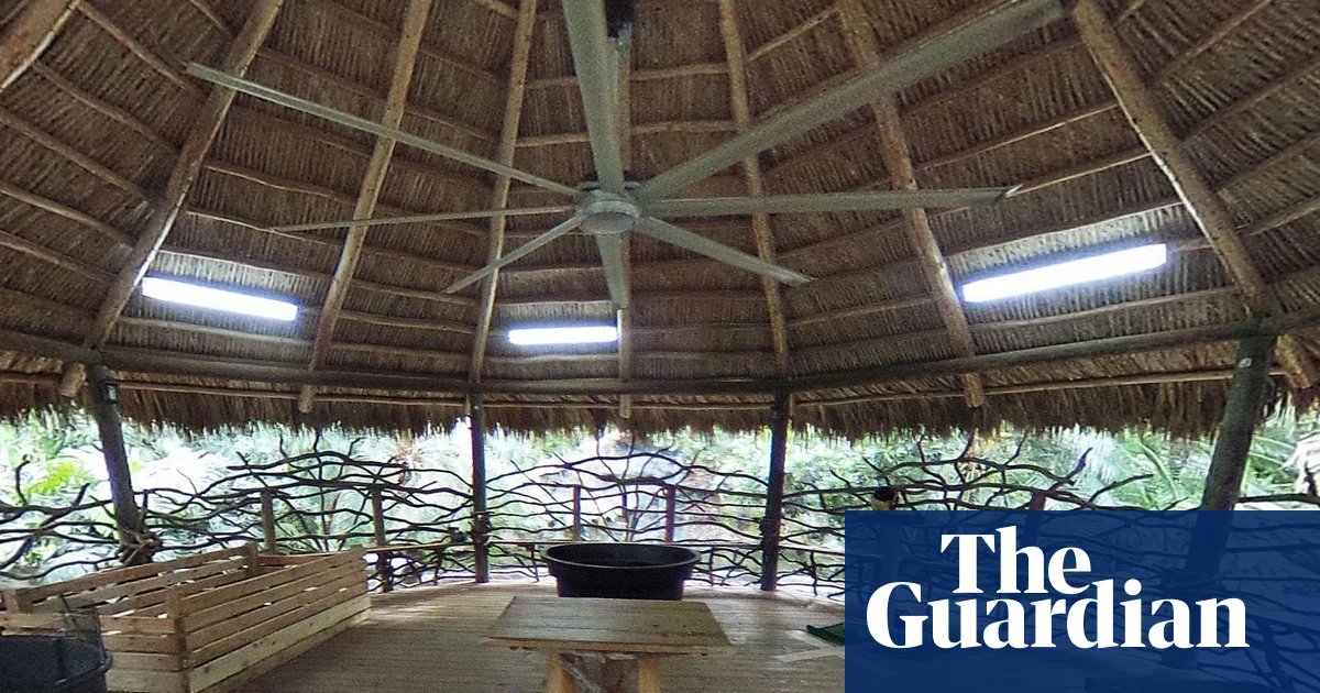 Animal welfare violations swarm Miami zoo owned by ex-drug kingpin in Tiger King | Miami