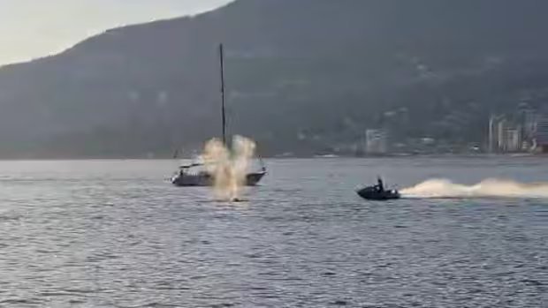 Video captures grey whale being struck by jet ski rider in Vancouver