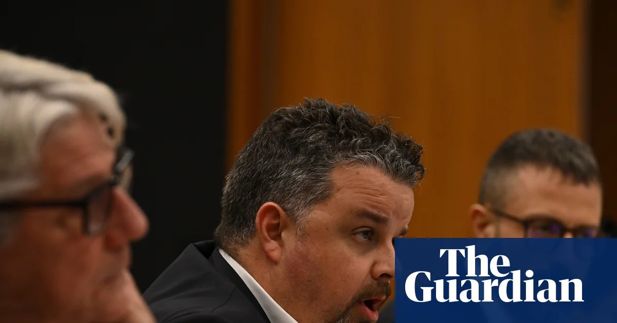 ‘Not a good look’: witnesses refuse to appear before NSW parliamentary hearings after court ruling | New South Wales