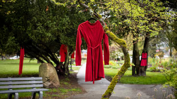 Growth of Red Dress Day proof ‘our voices are very powerful,’ says project founder