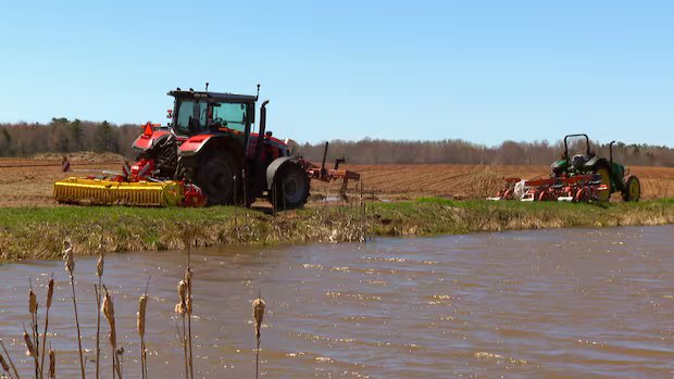 Farm irrigation systems aren’t cheap. For N.S. growers, going without could be costlier