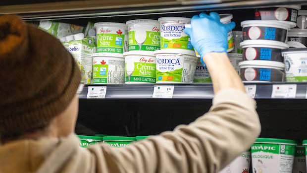 No whey, a cottage cheese shortage? Demand surges amid protein craze