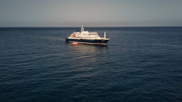Why do people still take cruises? Convenience, value outweigh health risks, experts say