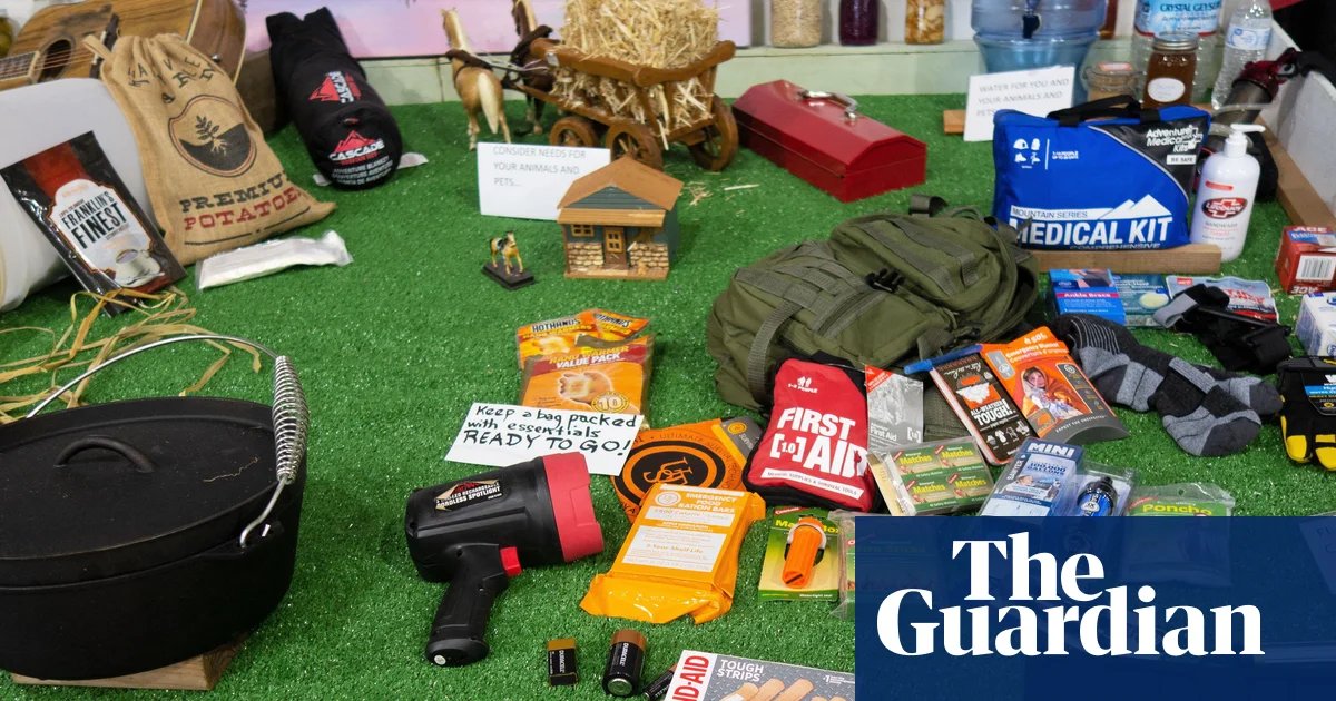 Worried Britons ‘prepping’ for major disruption with stash of tins and cash, survey shows | Business