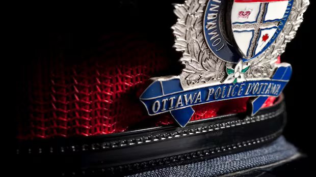 Assault, harassment charges against OPS officer stem from alleged intimate partner violence