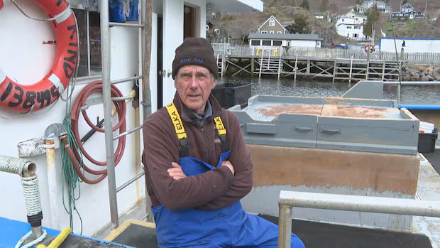 ‘Storms are getting bigger’: N.L. fishers celebrate new funding for harbour upgrades