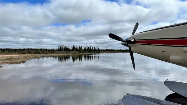 Man dies after bear encounter in northern Saskatchewan
