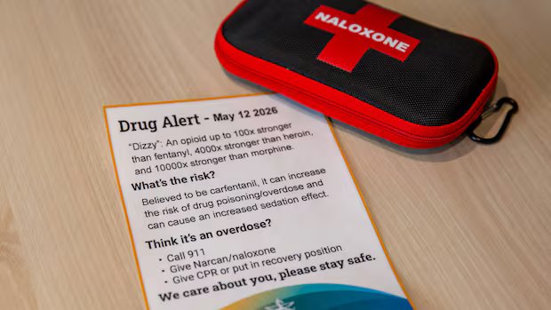Province sees big drop in opioid-related death rates as northern Ontario maintains highest numbers