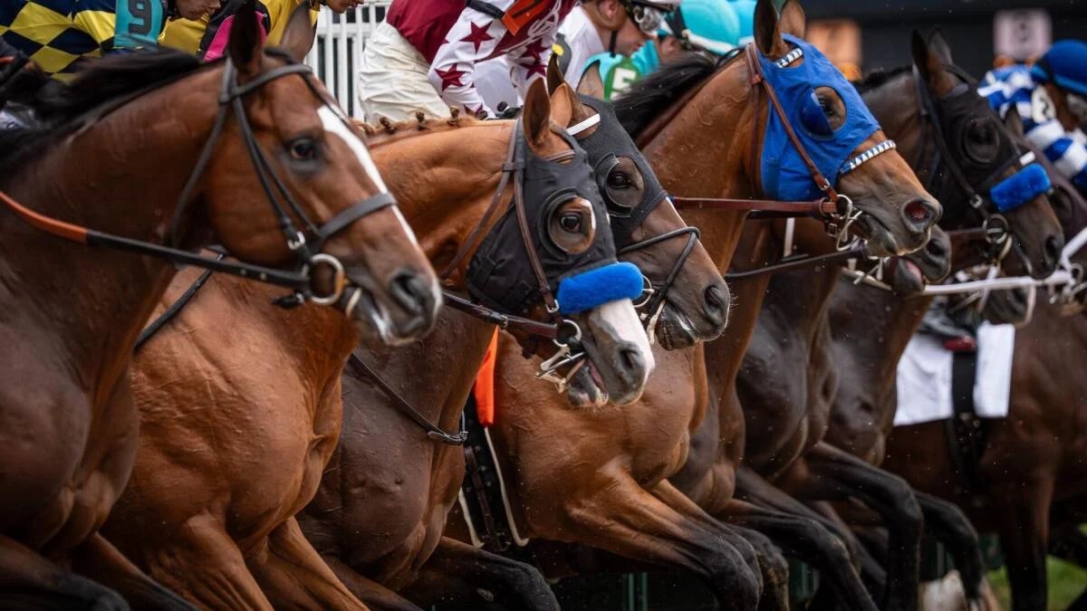 2026 Preakness Stakes odds: Expert picks for Iron Honor, Taj Mahal, Incredibolt, more