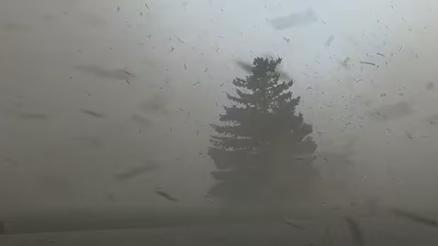 Damage, debris left in wake of major spring Saskatchewan storm