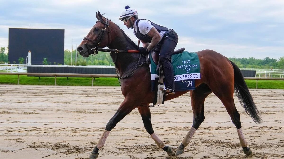 2026 Preakness Stakes odds: Expert picks for Iron Honor, Taj Mahal, Incredibolt, more