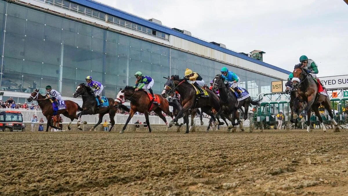 2026 Preakness Stakes odds: Expert picks for Iron Honor, Taj Mahal, Incredibolt, more