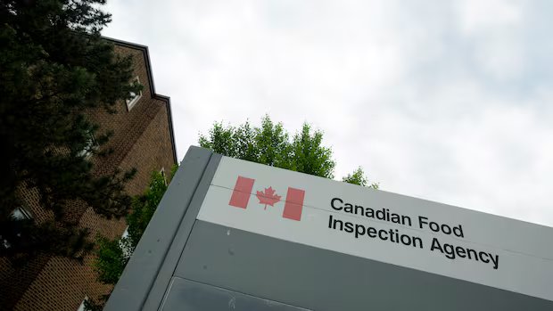Microgreens sold in Ontario, Quebec recalled due to possible E. coli contamination