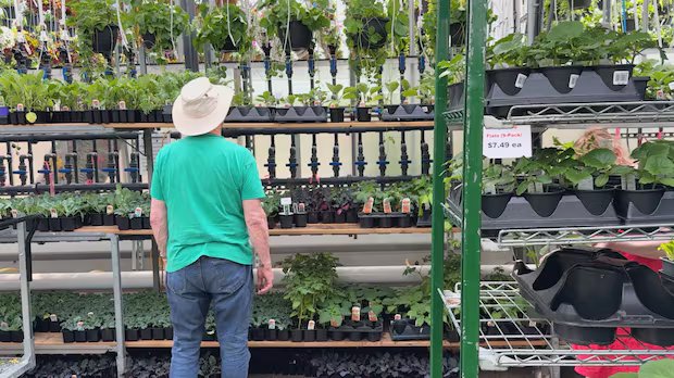 Canada’s updated its plant hardiness map — and growers are seeing their options bloom