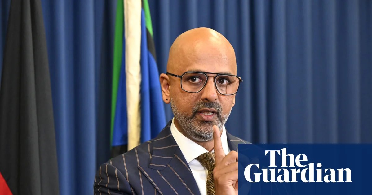 ‘Vein of racism’: Race discrimination commissioner accuses One Nation and Coalition of scapegoating immigrants | Australian immigration and asylum