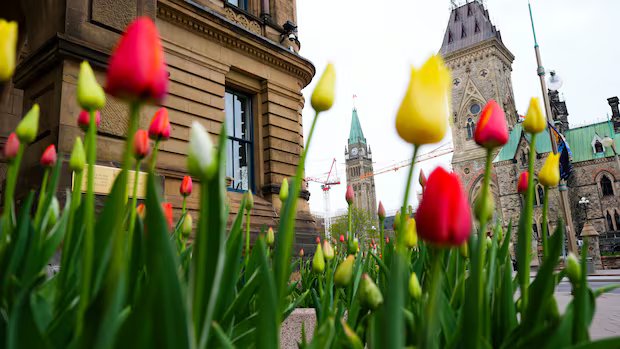 Government looking to give boost to high-wage workers in express entry system