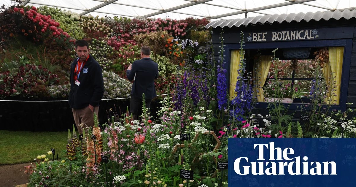 For peat’s sake: RHS faces conservative backlash over Chelsea flower show | Chelsea flower show