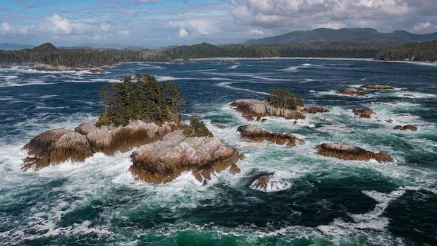 New protected marine reserve, larger than P.E.I., to be established on B.C.’s Central Coast