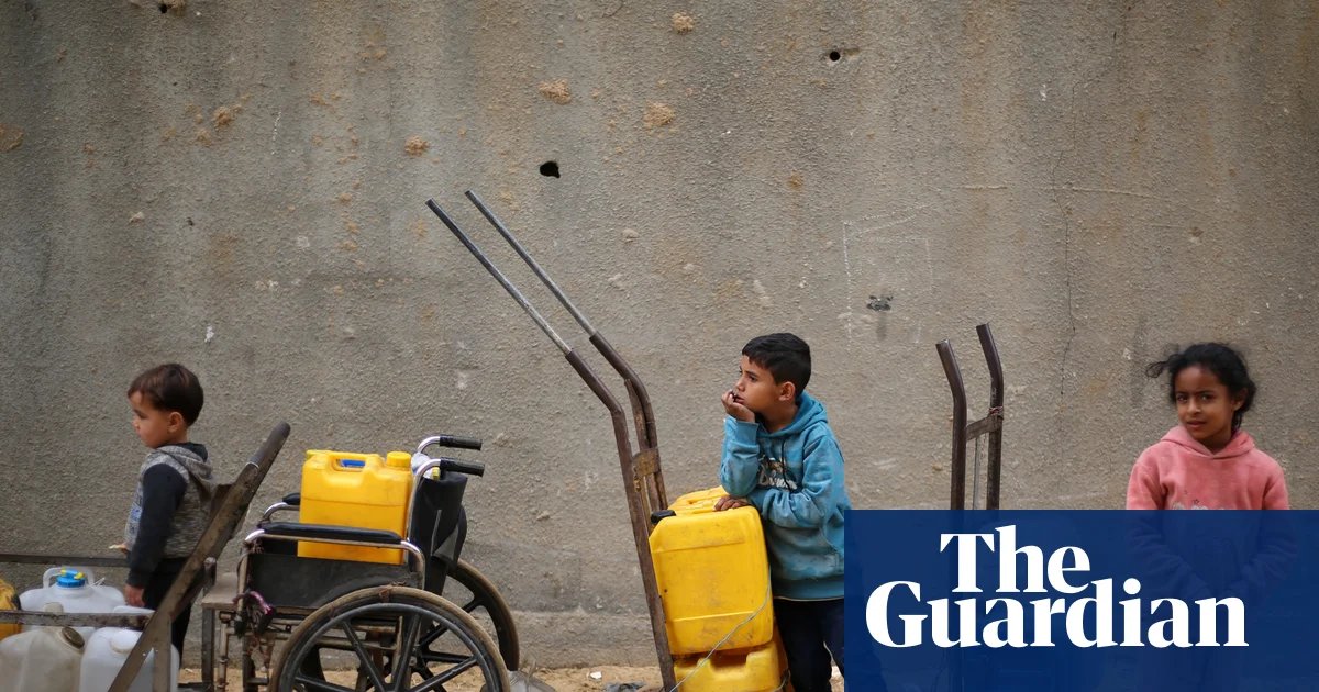Board of Peace focus on Hamas risks return to war in Gaza, critics say | Israel-Gaza war