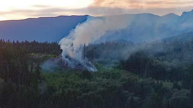Brush fire breaks out in Maple Ridge forest
