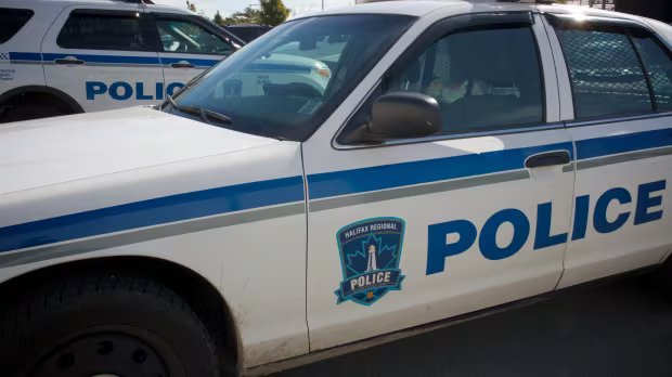 Search underway for missing newborn baby in Halifax
