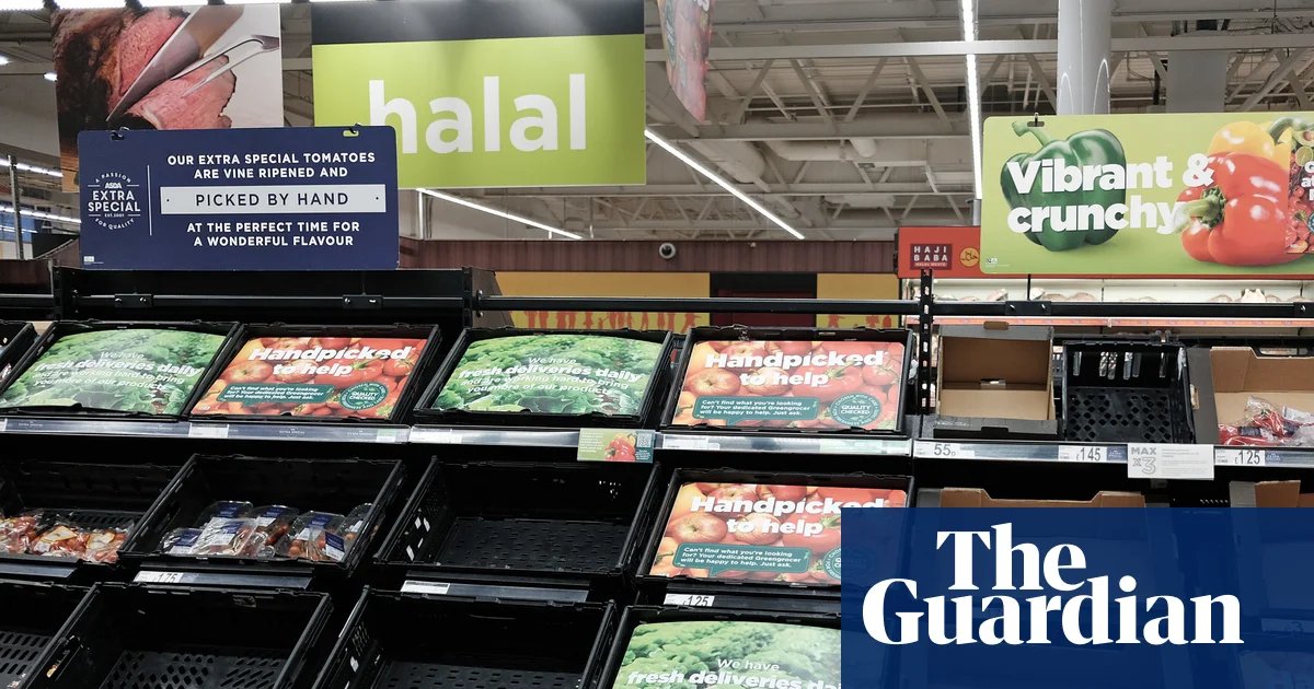 UK supply chain unprepared for major shocks such as war, report warns | Defence policy