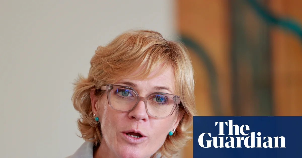 Zali Steggall says donation rules favour teals forming own party but other independents rule out idea | Independents