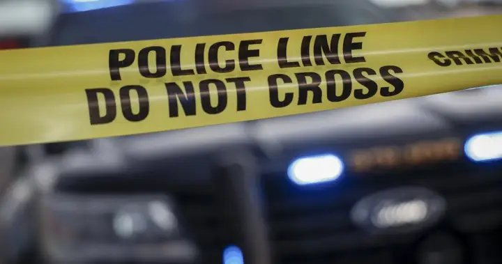 Suspected arson at car dealership damages vehicles: Montreal police – Montreal