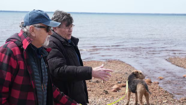 Sault Ste. Marie residents among Canadians concerned about decades of ‘forever chemicals’ contamination