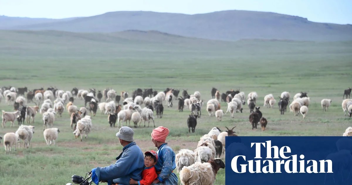 Greener pasture of a shepherd’s life lures Chinese workers penned in by ‘996’ jobs | China