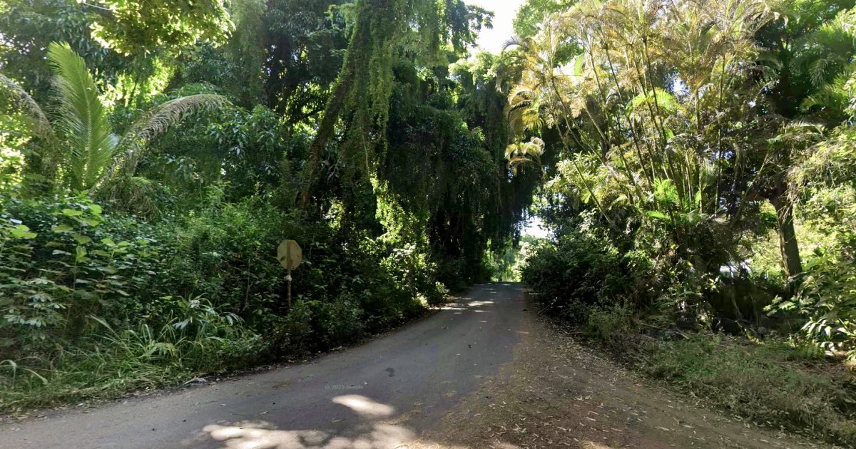Hawaii community feared triple-murder suspect would ‘show up at their house with a machete’