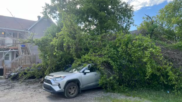 Communities in eastern Ontario, western Quebec lose power following strong winds Friday night