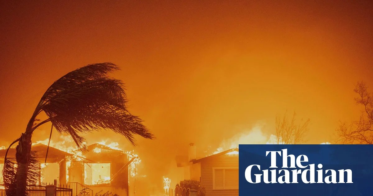 Wildfires devastating richer areas but fewer hectares burned globally – study | Wildfires