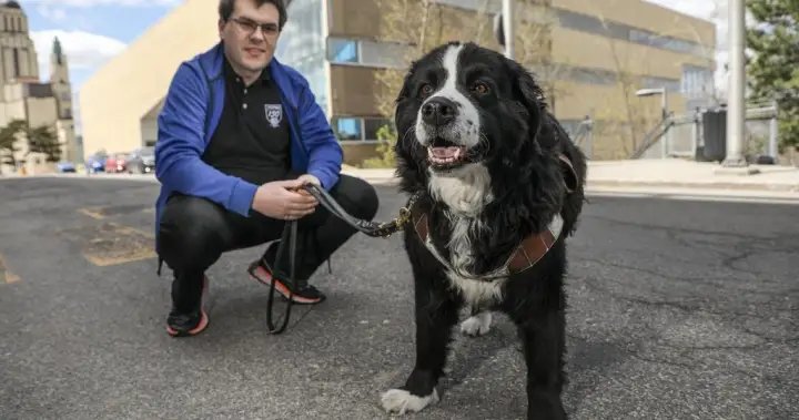 Quebecer graduating from Polytechnique with service dog who attended every class – Montreal