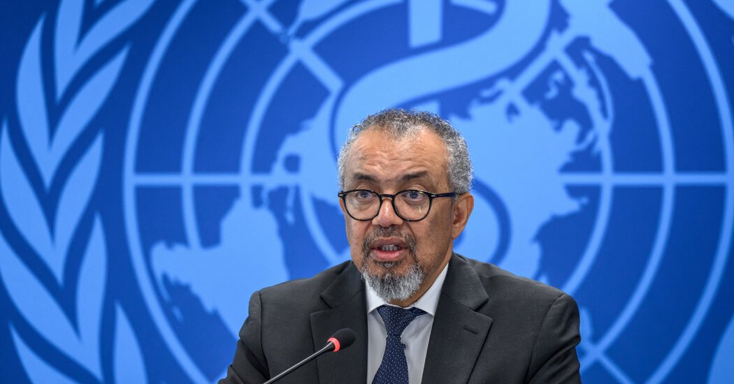 Ebola Outbreak Is Unlikely to Become Global Threat, W.H.O. Head Says
