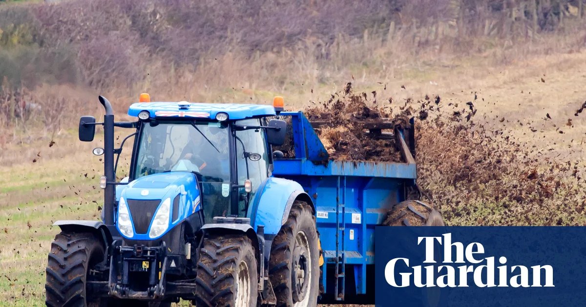 Fertiliser shortages will have ‘dramatic’ effect on global food prices, warns farming boss | Supply chain crisis