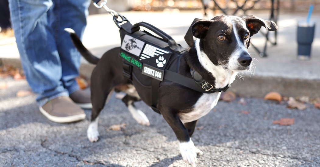 HUD Moves to Limit Assistance Animals for Disabled Tenants
