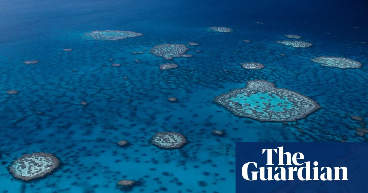 Shark attack: man dies on Great Barrier Reef in far north Queensland | Queensland