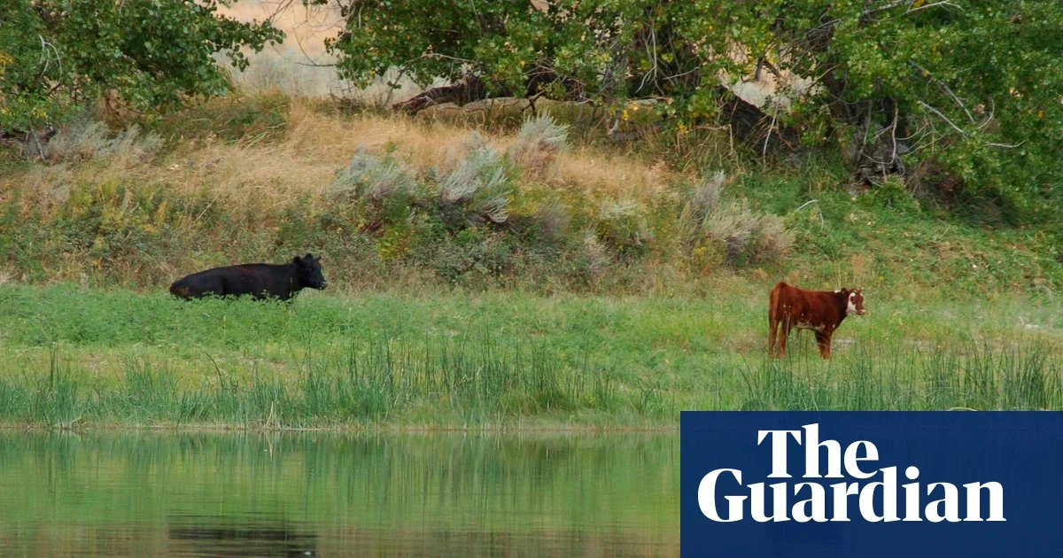 Trump officials cancel rule that made conservation a ‘use’ of public lands | Trump administration