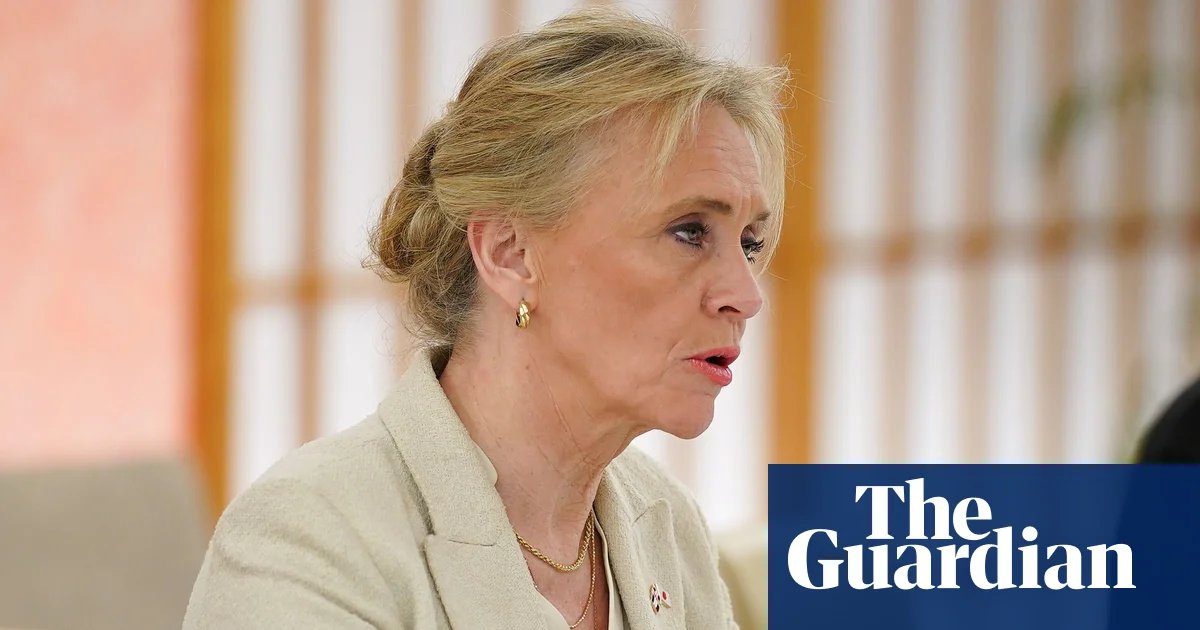 Iceland’s foreign minister fears ‘Brexit moment’ in EU accession referendum | Iceland